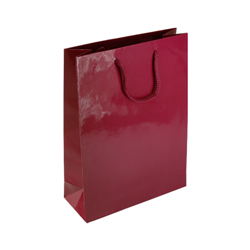 Medium Burgundy Paper Gift Bag